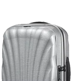 Luggage